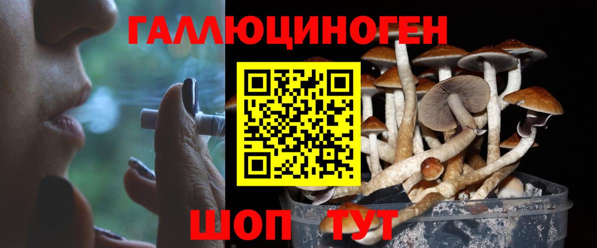 Галлюциногенные грибы Magic Shrooms Мытищи